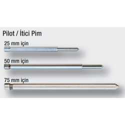 Pilot / İtici Pim